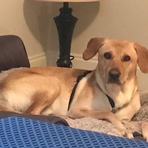 Meet your Posher, Deeps